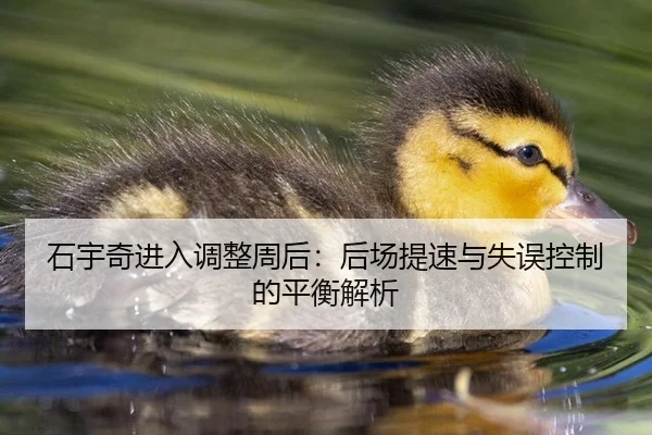 石宇奇进入调整周后：后场提速与失误控制的平衡解析