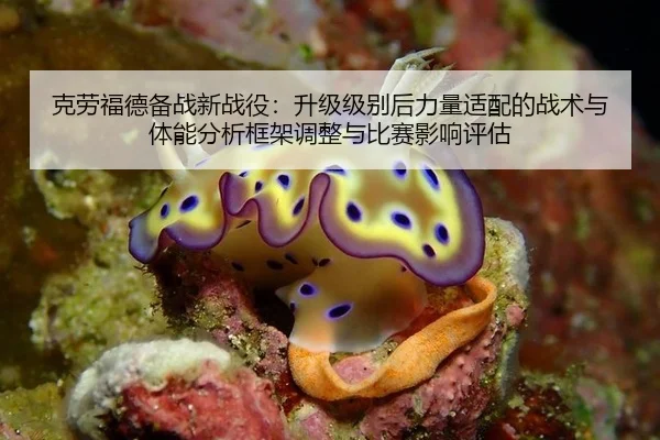 克劳福德备战新战役：升级级别后力量适配的战术与体能分析框架调整与比赛影响评估